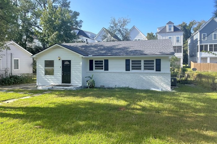 Charleston houses